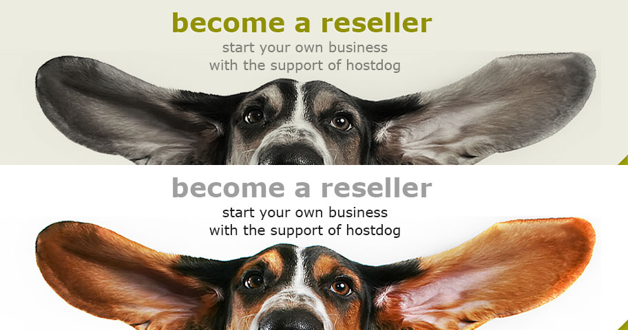 Start your own business with the support of hostdog